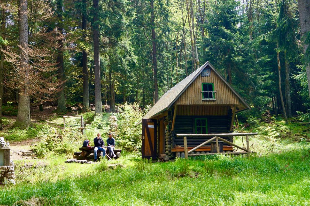 Pension zum Ritter Katzhutte Exterior foto