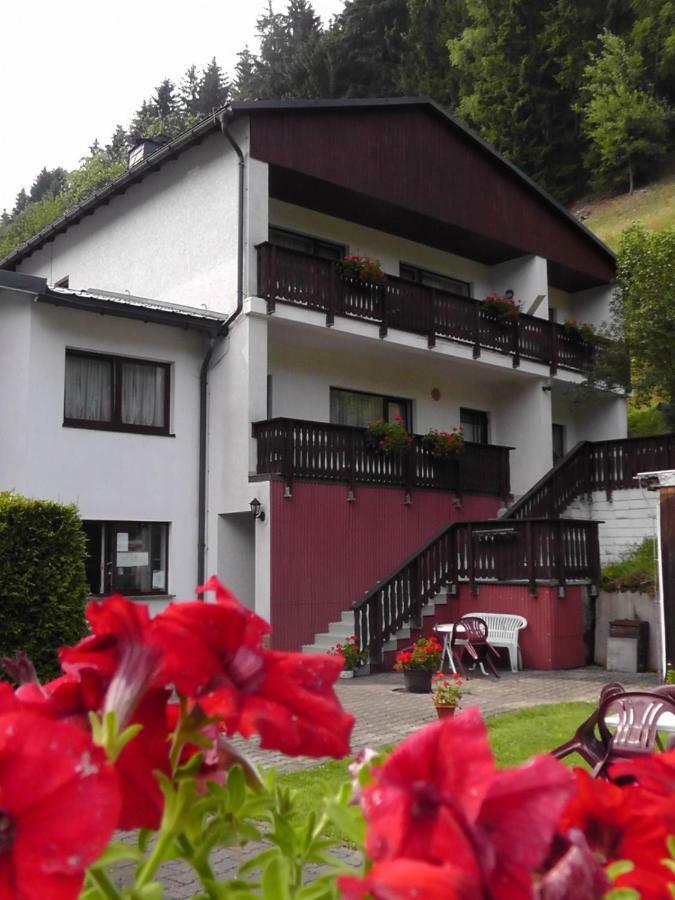 Pension zum Ritter Katzhutte Exterior foto