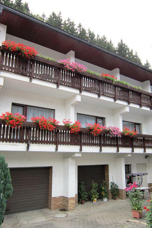 Pension zum Ritter Katzhutte Exterior foto